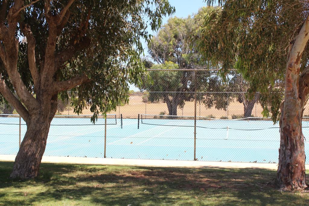 Horrocks Beach Caravan Park Esterno foto